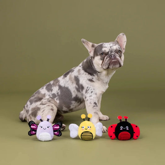 A Beginner’s Guide to Pet Supplies: Everything You Need to Get Started