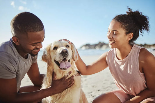 Welcome to Paw And Claw Outlet: Great Finds for Your Favorite Companions