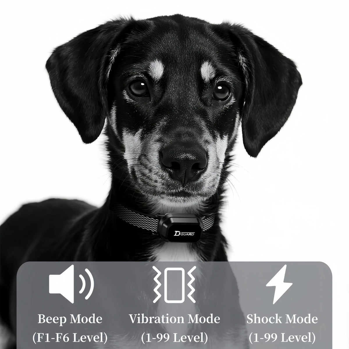 3300FT Electric Dog Training Collar Remote Control Waterproof Pet BehaviorFor 6-120lbs Puppy With Shock Vibration Anti-barking